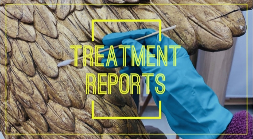 How to make a treatment report ?